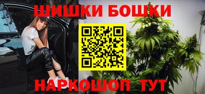 apvp Моздок