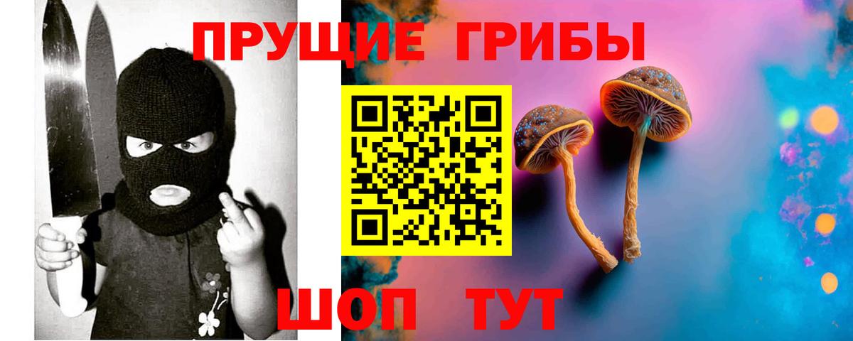 Дивногорск  Галлюциногенные грибы MAGIC MUSHROOMS  Вход с VPN  Псилоцибиновые грибы Magic Shrooms 